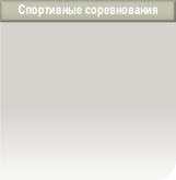 wpdbefb2a3.png